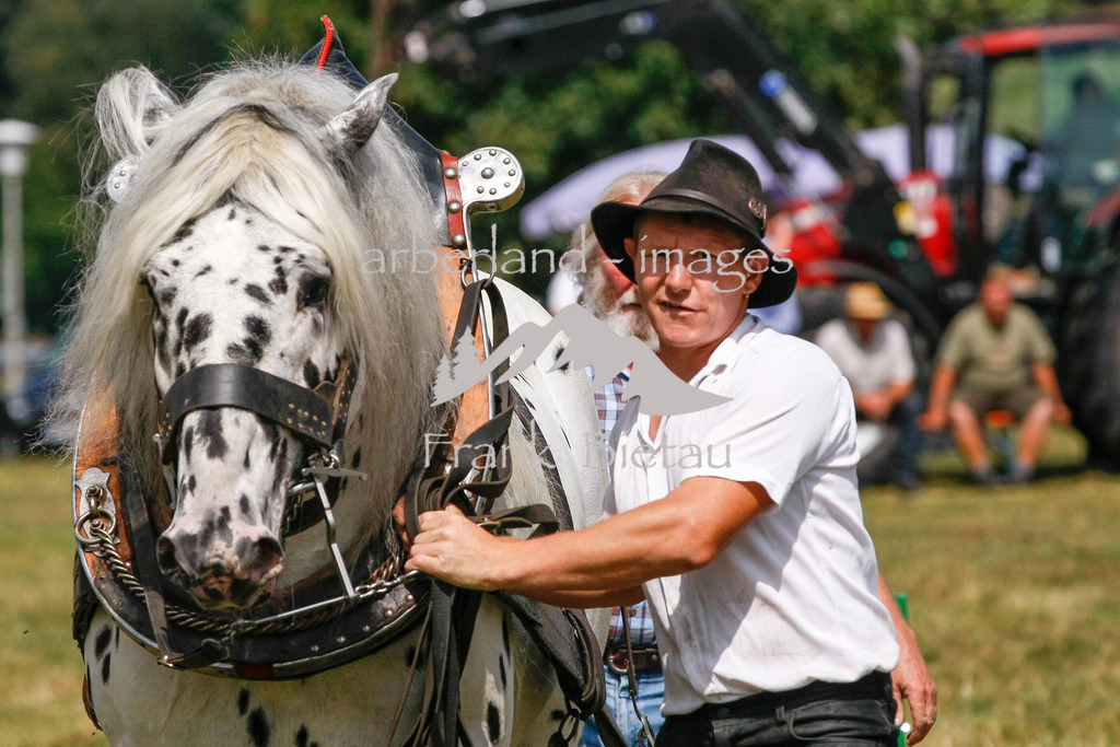 15082015-fb-6276 | Leistungsziehen in Poschetsried 2015