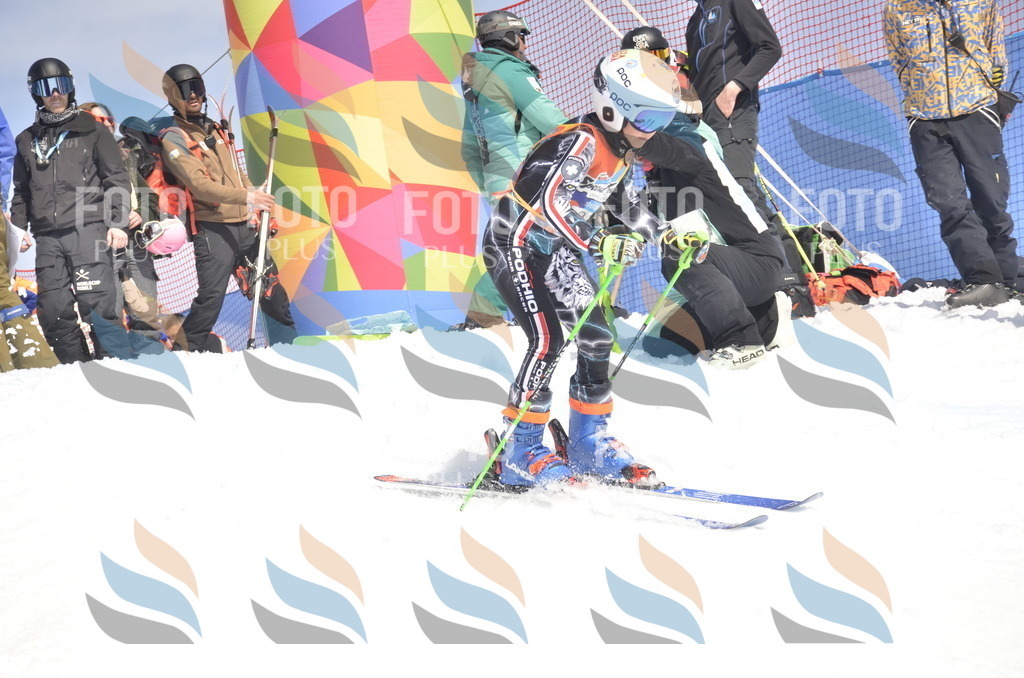 _ELE9346 | holidayphoto