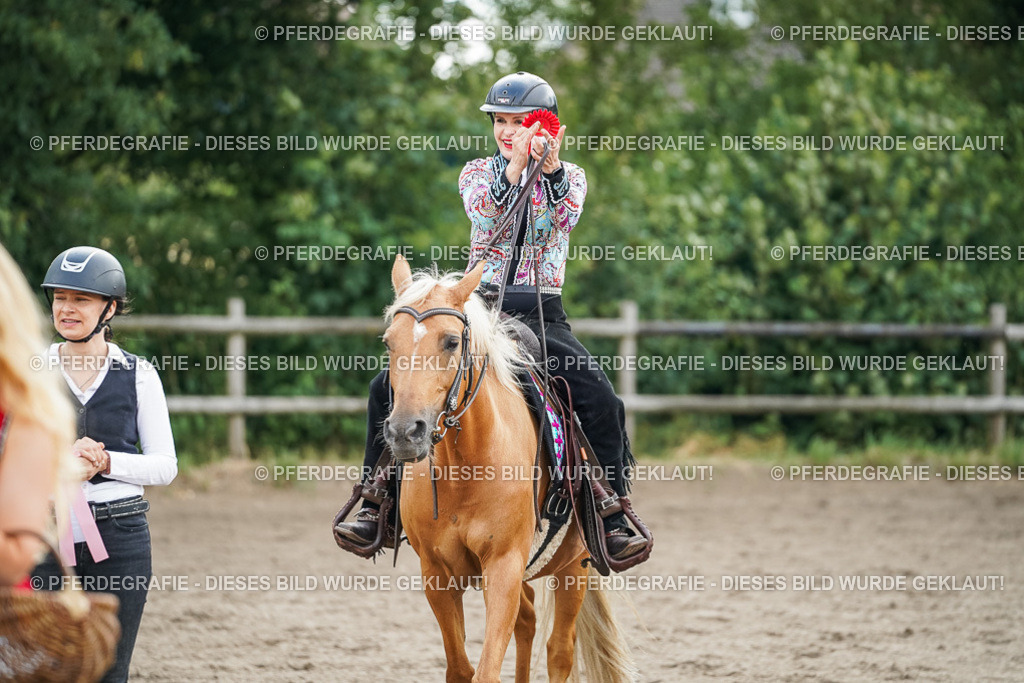 DSC04128 | Pferdegrafie