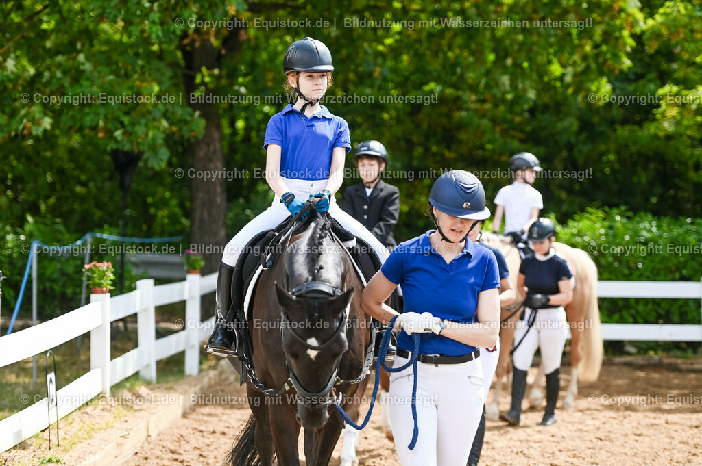 20230716_11_Führzügel-WB_0005 | equistock