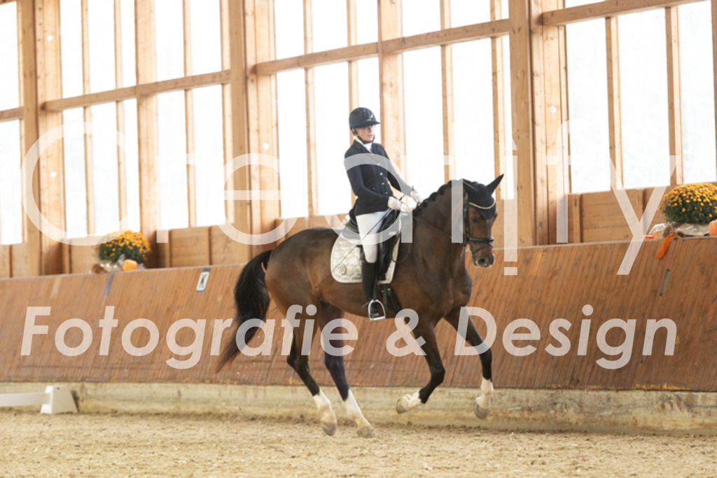 IMG_1470 | Creatify Fotografie