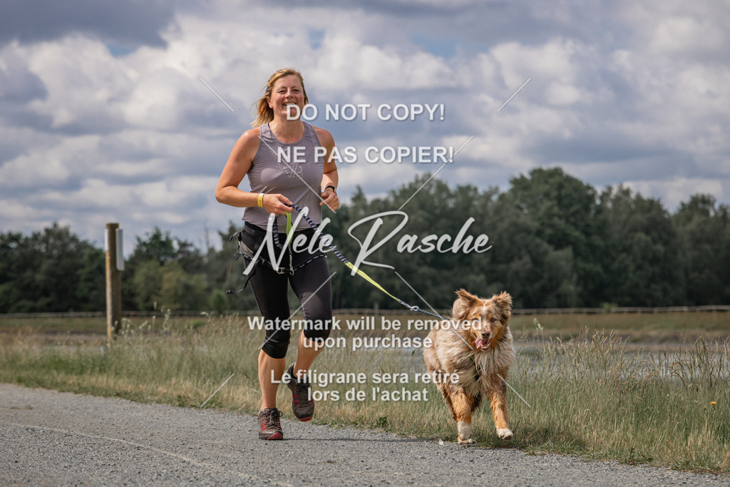 nelerasche_BuHu2026_SaCC1100-1200_87 | nelerasche