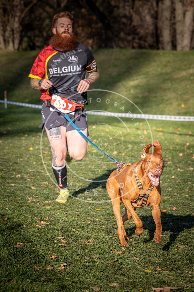 CaniXpix_0L8A9152 | Hundefotografie, Tierfotograf, Pfotenfotografie, Fotoshooting Hund, Hunde Portrait, Hundesport, Hundeportraits, Heideshooting, Hunde, Sportfotograf, Hundefotograf, Turnierhundsport, THS,  - Realisiert mit Pictrs.com