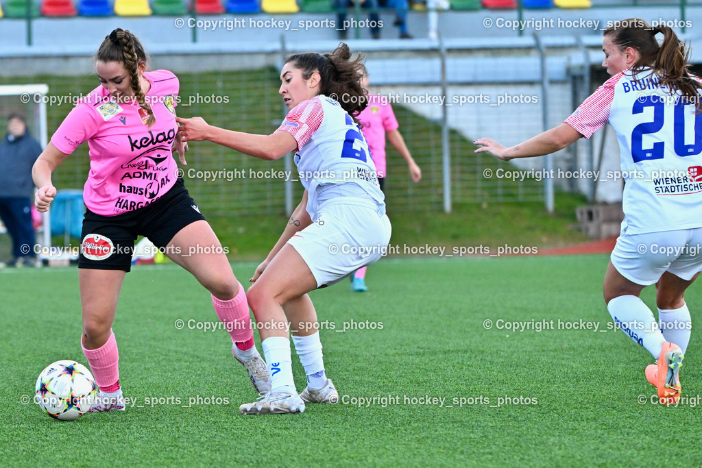 Liwodruck Carinthians Hornets vs. FK Austria Wien Frauen 19.11.2023 | #10 Elisa Ciccarelli, #24 Yvonne Weilharter, #20 Dominique Bruinenberg