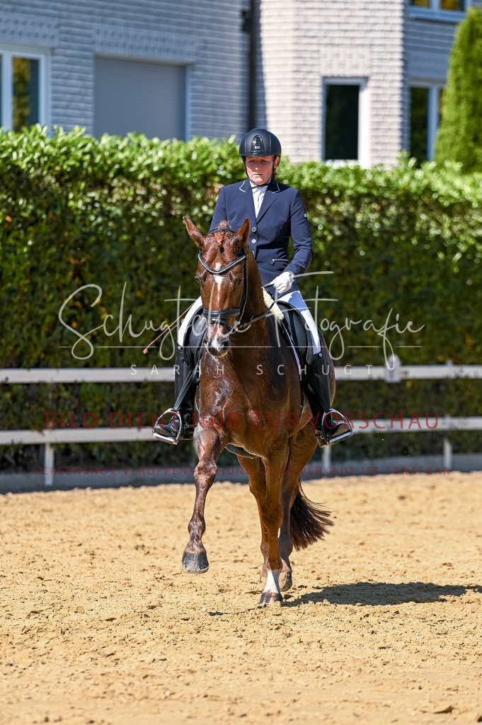 Schugtsche-Aluta25-50.Dressurpferdeprf.L-85 | Schugtsche Fotografie - Realisiert mit Pictrs.com