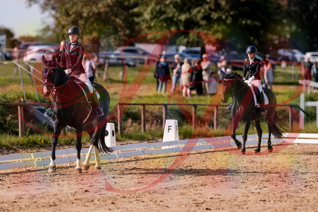 2026_10_03_Siefer-Hof_121326_Z81_13423483 | Professionelle Reitsport-, Turnier- und Eventfotografie von Robert Broda. Galerien mit ausgewählten und bearbeiteten Bildern direkt online ansehen und bestellen.