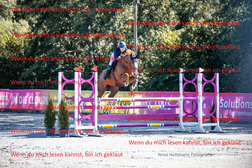 BK1A5684 | Turnierbilder Turnierfotos Nina Hüffmann Turnierfotografie Pferdefotografie Tierzeichnung Haustierzeichnung Pferdezeichnung Hundezeichnung Videograf  - Realisiert mit Pictrs.com