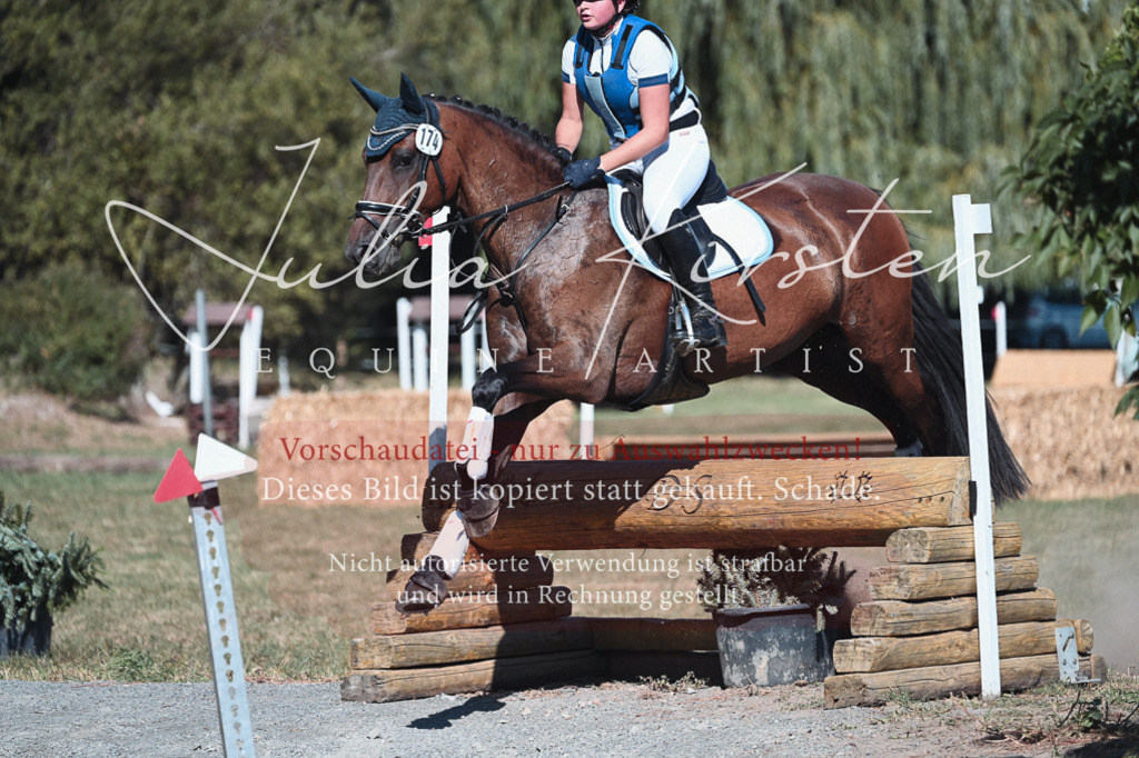 DSC_8714 | Pferde- und Turnierfotografie in Westsachsen. Pferdeportraits, Auftragszeichnungen und intuitive Kunst.