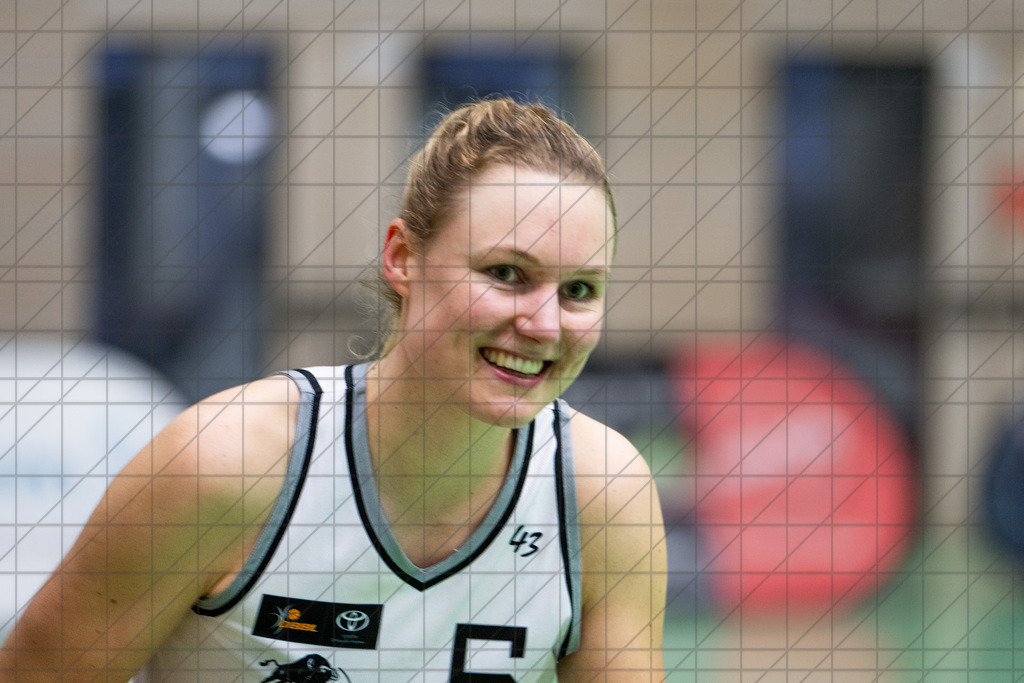2. DBBL Nord 24/25 | 08.12.2024 | BBC OS vs. TG Neuss Tigers | 2. DBBL Nord 24/25 | 08.12.2024 | BBC OS vs. TG Neuss Tigers - - - - - CREDIT, www.bullenfotos.de, Martin König, Hörner Weg 40, D-49078 Osnabrück, +4917663732967, Nutzung und Weitergabe nur zu den vereinbarten Zwecken. Presseanfragen an Urheber. Alle Rechte beim Urheber. - - - - - - Realisiert mit Pictrs.com
