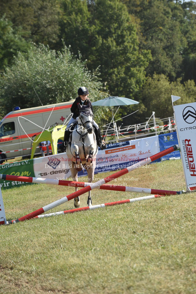 DSC_5718 | Pferde- und Turnierfotografie in Westsachsen. Pferdeportraits, Auftragszeichnungen und intuitive Kunst.