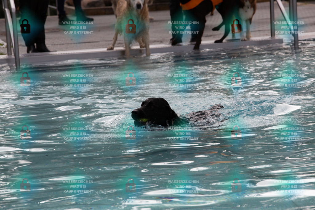 _HP_7565_1000o | HetPix, HetPix Fotodesign, Fotografie, Fotodesign, Webshop, Sportfotografie, Portraitfotografie, Onlineshop, Sportfotografie, Polch, Motorsportfotografie, Eventfotografie