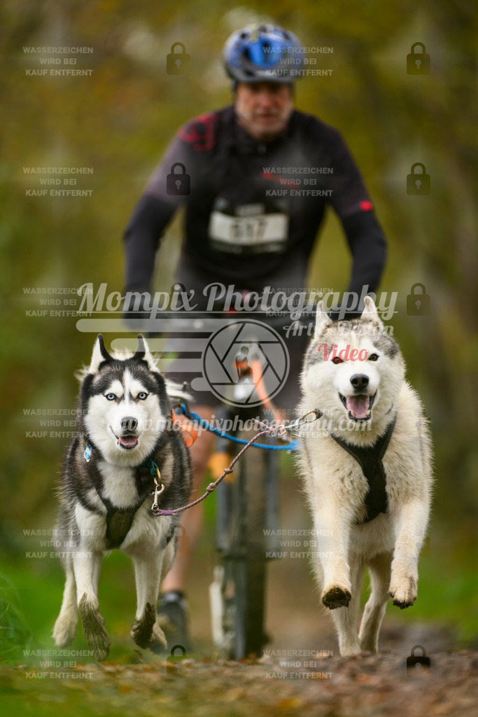 MompixPhotography_20TSB_E6_DS2-23 | PayLife