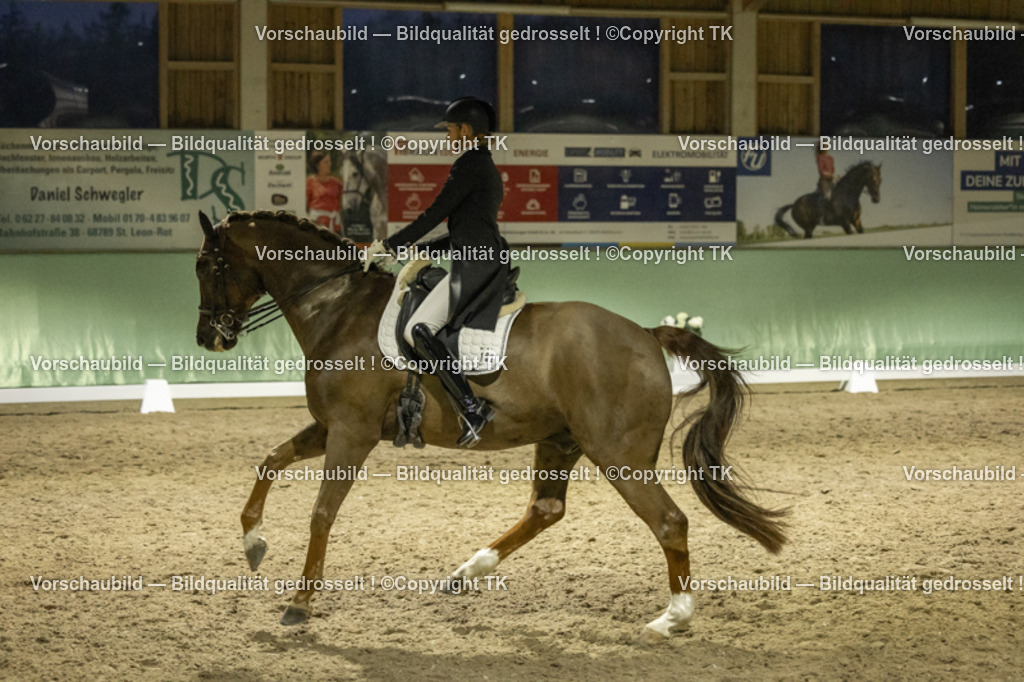 _D5A7598 | Emotionale Pferde- & People-Fotografie rund um Heidelberg, Leimen & Umgebung. Natürliche Fotos von Pferd, Mensch & Familie. Jetzt Termin sichern!