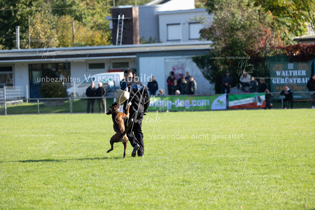 _16A5112 | Einzigartige Fotos von Hunden & Menschen –Actionfotos, Portraits, Vereinsaufnahmen & Paarshootings – authentisch, lebendig & mit Herz.