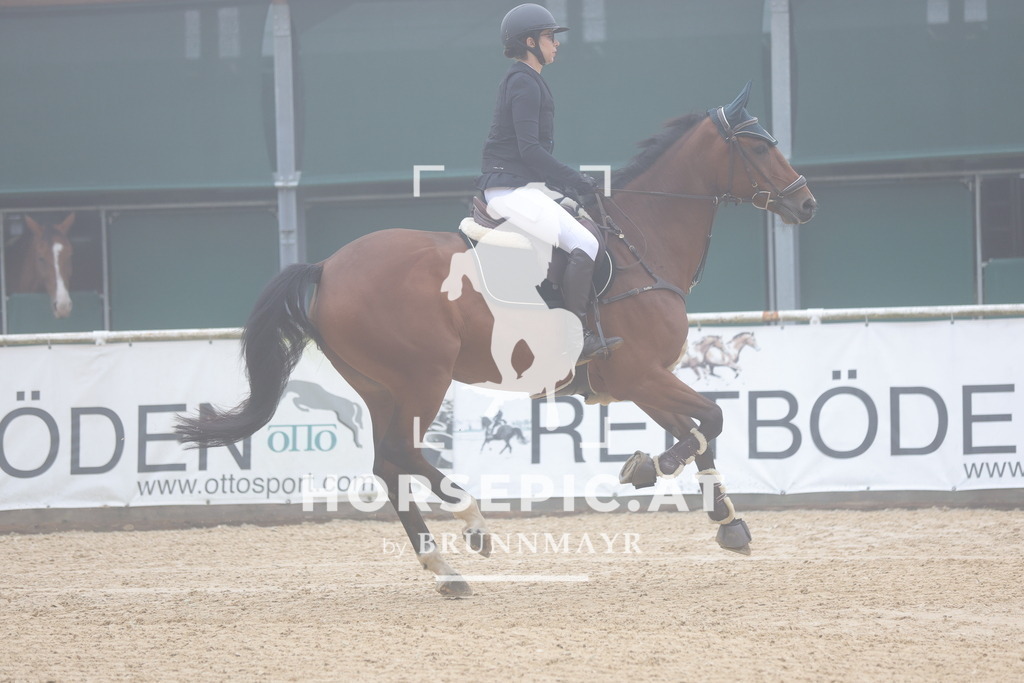 0P6A0303 | Willkommen bei Brunnmayr - Design & Fotografie – Ihrem Spezialisten für Reitturniere und Pferdeveranstaltungen in Oberösterreich, Salzburg und Bayern! Seit über 17 Jahren sind wir leidenschaftlich dabei.