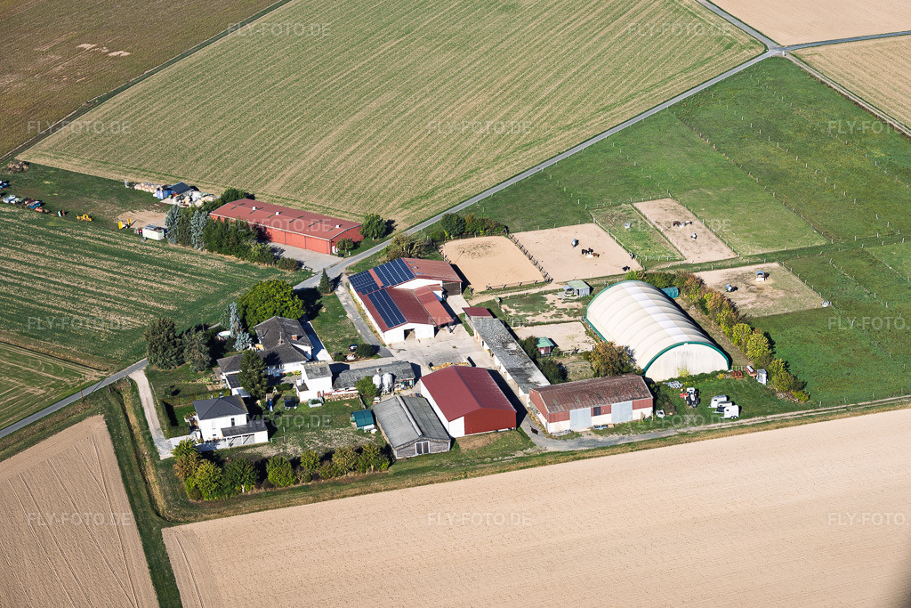 Luftbild: Aussiedlerhof von Lothar Krapp Landwirt im Ortsteil Langstadt in Babenhausen im Bundesland Hessen in Deutschland. – Foto: IMG_159305.jpg vom 22.09.2026 durch Werner Riehm/FLY-FOTO.de – Auflösung des Originals: 5293 x 3529 px
