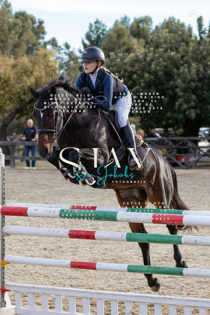 IMG_0616 | s-jay-photography - Realisiert mit Pictrs.com