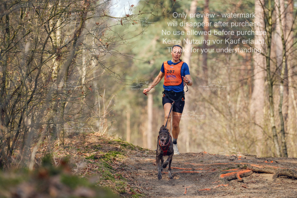 LangeCross_So-54 | stephaniefillaphotographie - Realisiert mit Pictrs.com