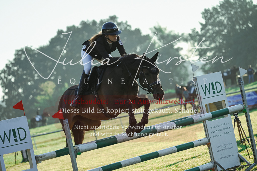 DSC_3729 | Pferde- und Turnierfotografie in Westsachsen. Pferdeportraits, Auftragszeichnungen und intuitive Kunst.