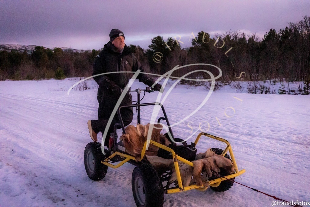 F4875FCC-255F-4AC1-A559-96389C532B52 | traudl_s_fotos