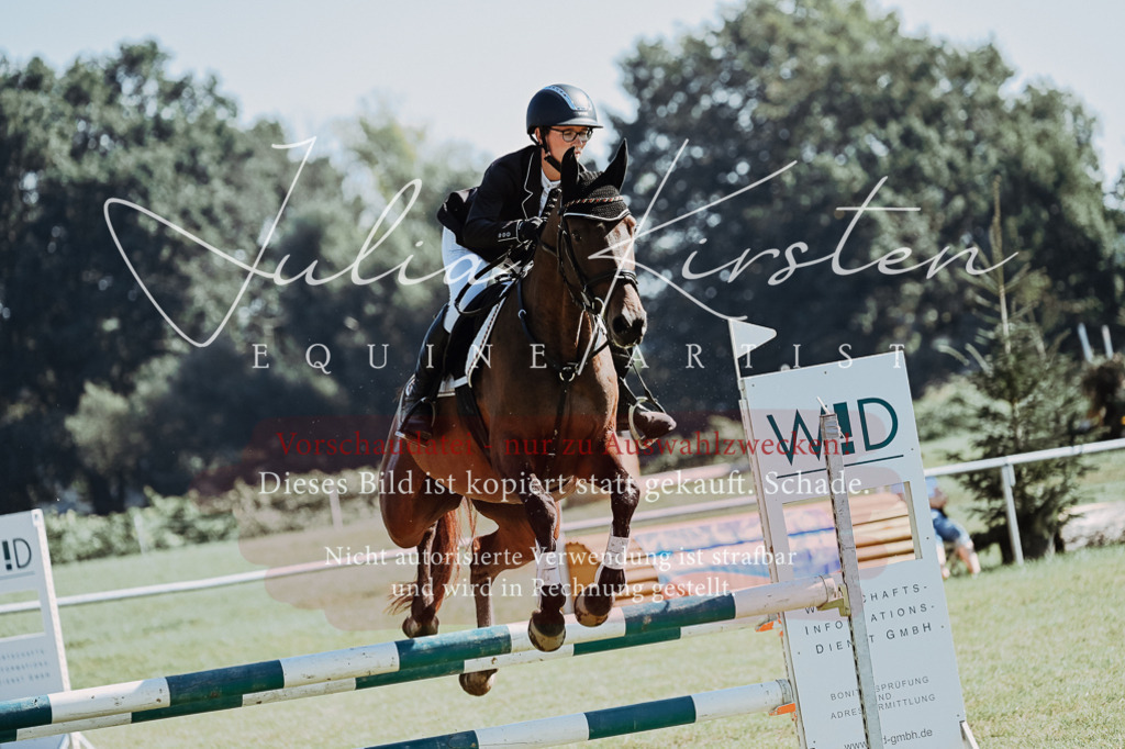 DSC_5569 | Pferde- und Turnierfotografie in Westsachsen. Pferdeportraits, Auftragszeichnungen und intuitive Kunst.