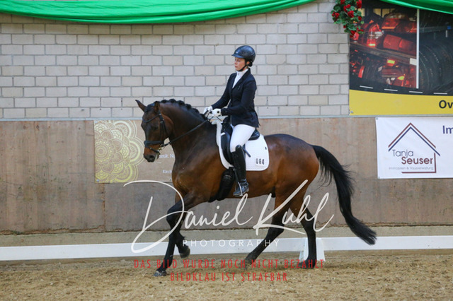 IMG_2880 | Turnierfotos kaufen im Webshop von Daniel Kuhl Photography – entdecke professionelle Reitsportfotos aus Turnieren & Events. Hochwertige Turnierbilder online bestellen & sichern. Jetzt Fotos von Reitsportturnieren kaufen!