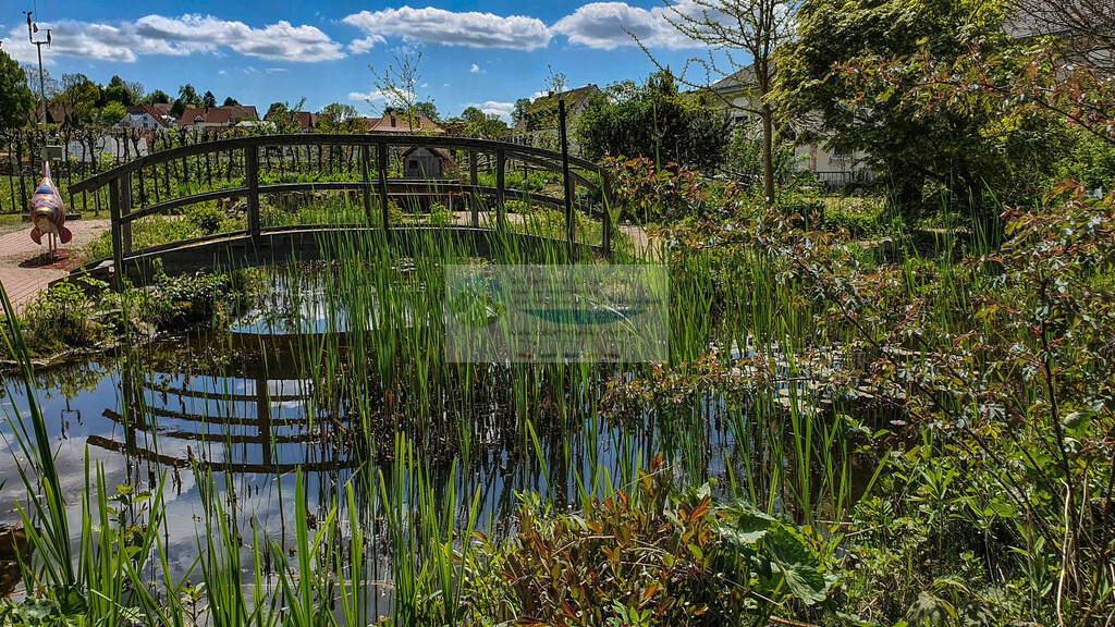 Naturkundegarten der Basilika im Frühling | Impressionen rund um Hochfranken - Frankenwald - Fichtelgebirge - Realisiert mit Pictrs.com