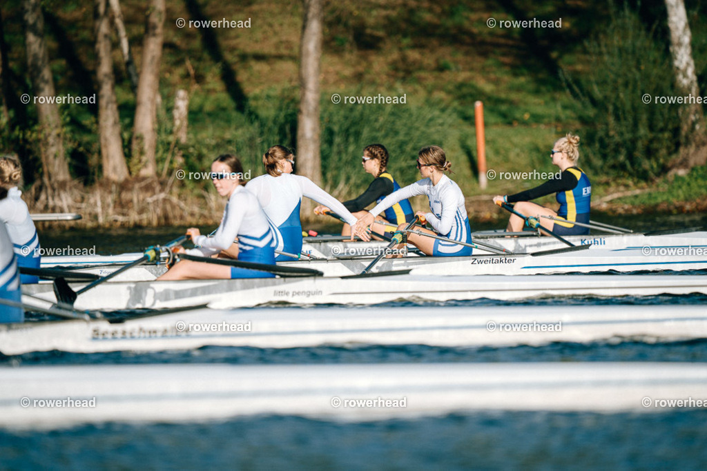 20251004_rowerhead_R014_S0376_DSC04703 | rowerhead - Realisiert mit Pictrs.com