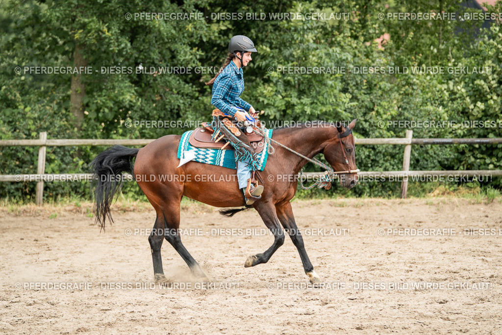 DSC04085 | Pferdegrafie