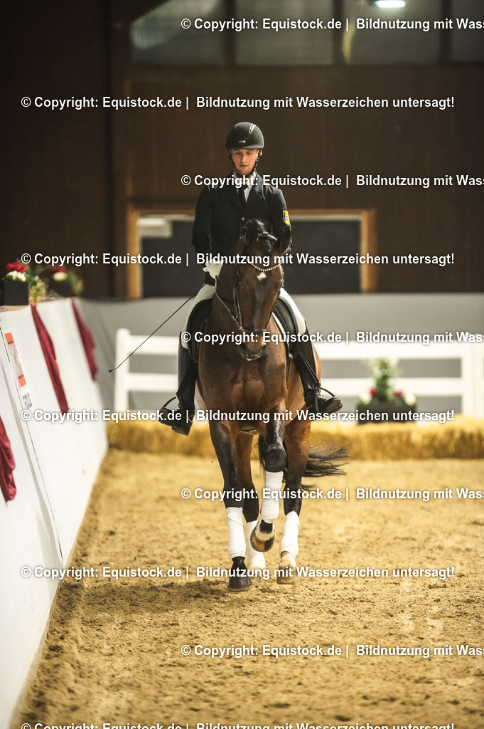 20240302_Hengstvorstellung_Marbach_TOMsPiC_1222-2 | equistock