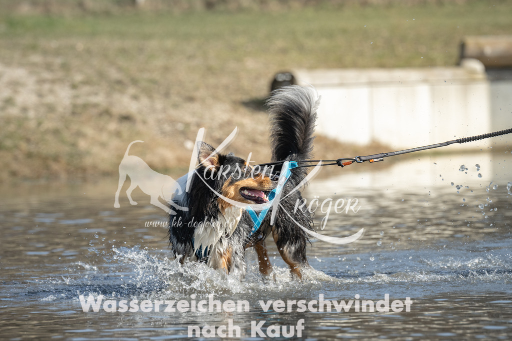1338_ZZ97685 | kk-dogfotos
