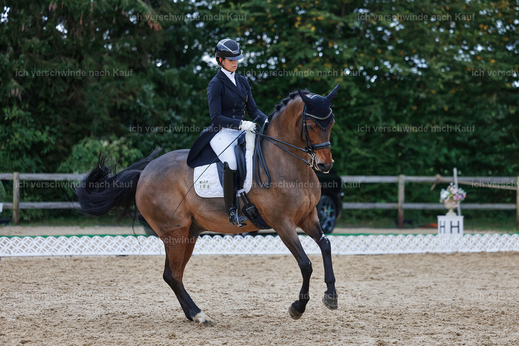12-186-DRESSUR  S___  -StoibPH-5386 | working equitationturnier fotograf videograf stoibphotography marixx film working equitation deutschland reitsport turnierfotografie eventfotografie equestrian events