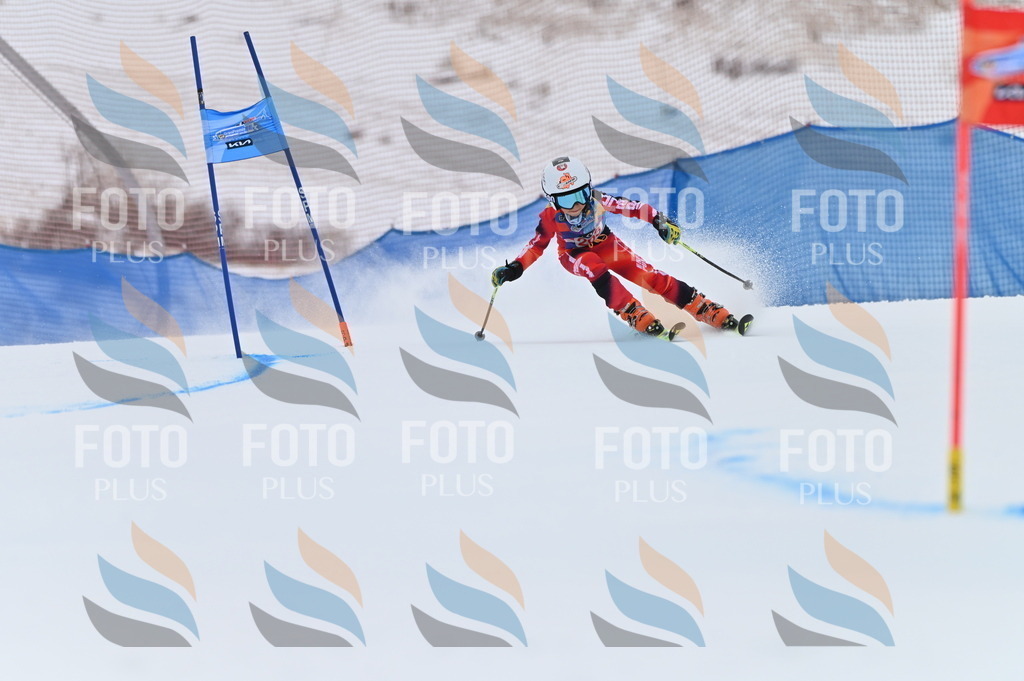 BGV_2022 | holidayphoto