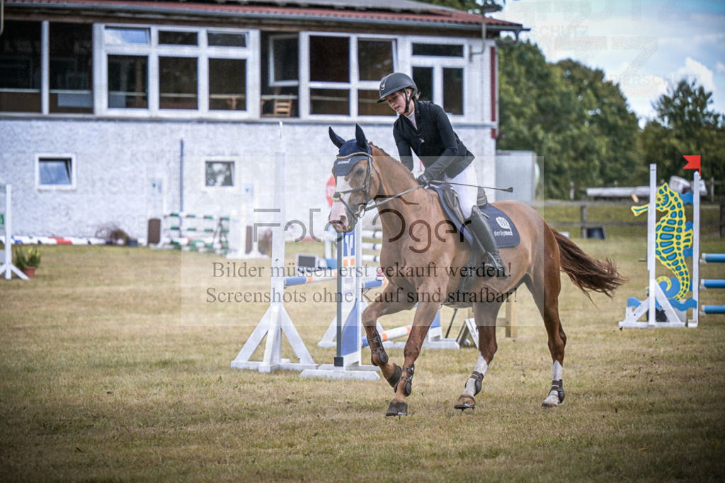 DOS_0451 | Entdecke hochwertige Reitturnierfotos von Foto Oger. Professionell, emotional und authentisch – jetzt Lieblingsmomente im Shop bestellen.Deutschlandweite Turnierfotografie. - Realisiert mit Pictrs.com