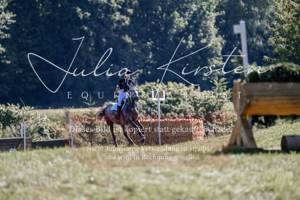 DSC_3308 | Pferde- und Turnierfotografie in Westsachsen. Pferdeportraits, Auftragszeichnungen und intuitive Kunst.