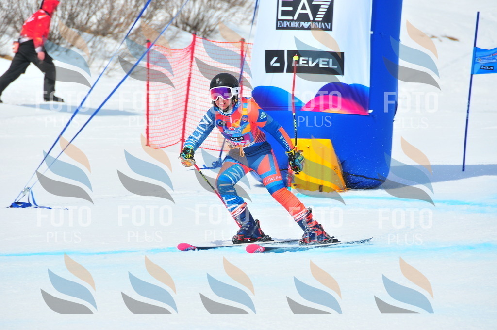 DSC_6692 | holidayphoto