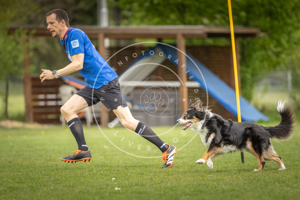 Pfotenfotografie_DV3A0175 | Hundefotografie, Tierfotograf, Pfotenfotografie, Fotoshooting Hund, Hunde Portrait, Hundesport, Hundeportraits, Heideshooting, Hunde, Sportfotograf, Hundefotograf, Turnierhundsport, THS,  - Realisiert mit Pictrs.com