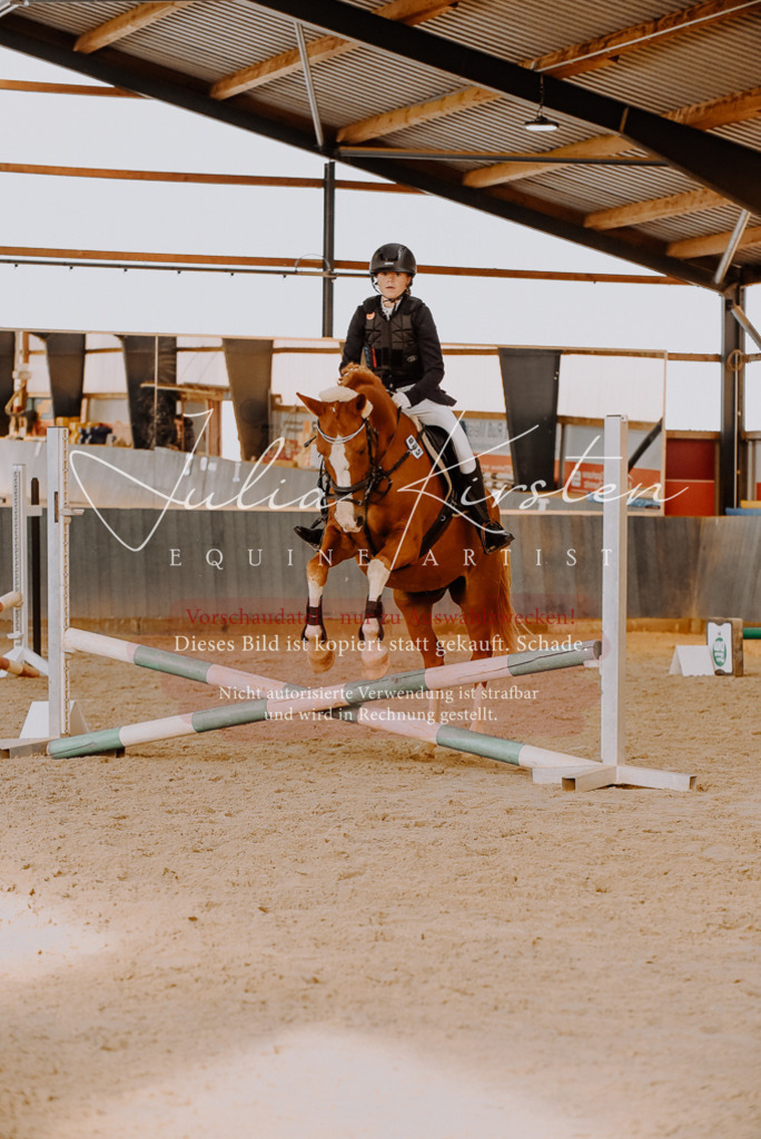 DSC_7449 | Pferde- und Turnierfotografie in Westsachsen. Pferdeportraits, Auftragszeichnungen und intuitive Kunst.