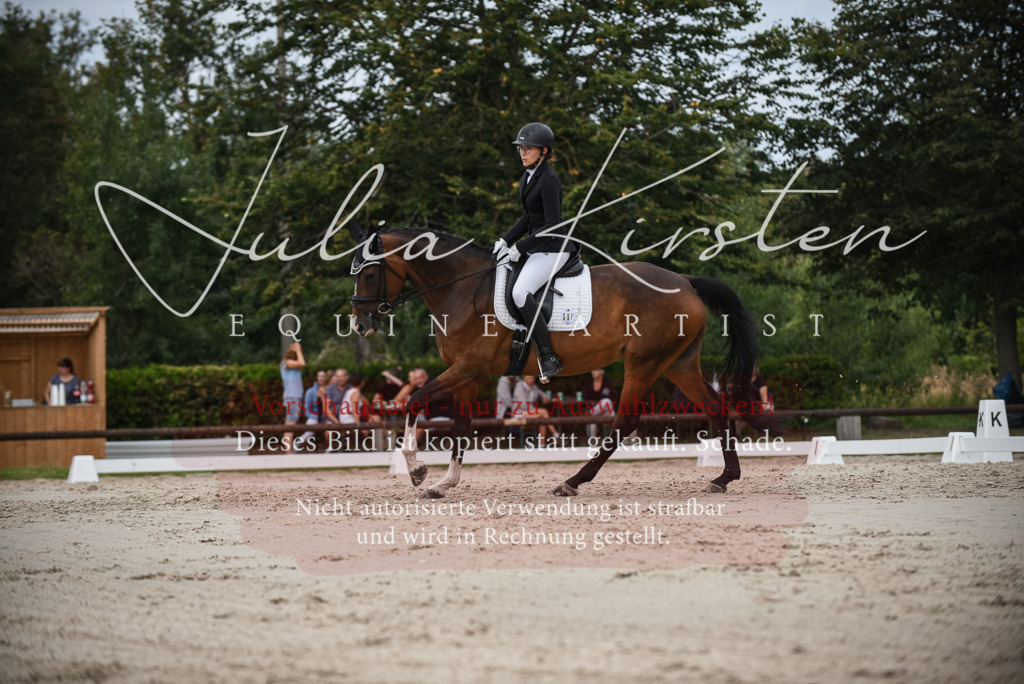 DSC_8564 | Pferde- und Turnierfotografie in Westsachsen. Pferdeportraits, Auftragszeichnungen und intuitive Kunst.