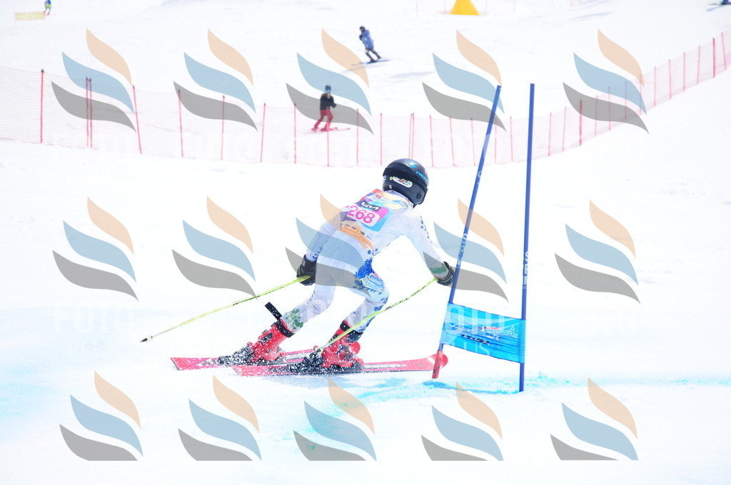 DSC_6397 | holidayphoto