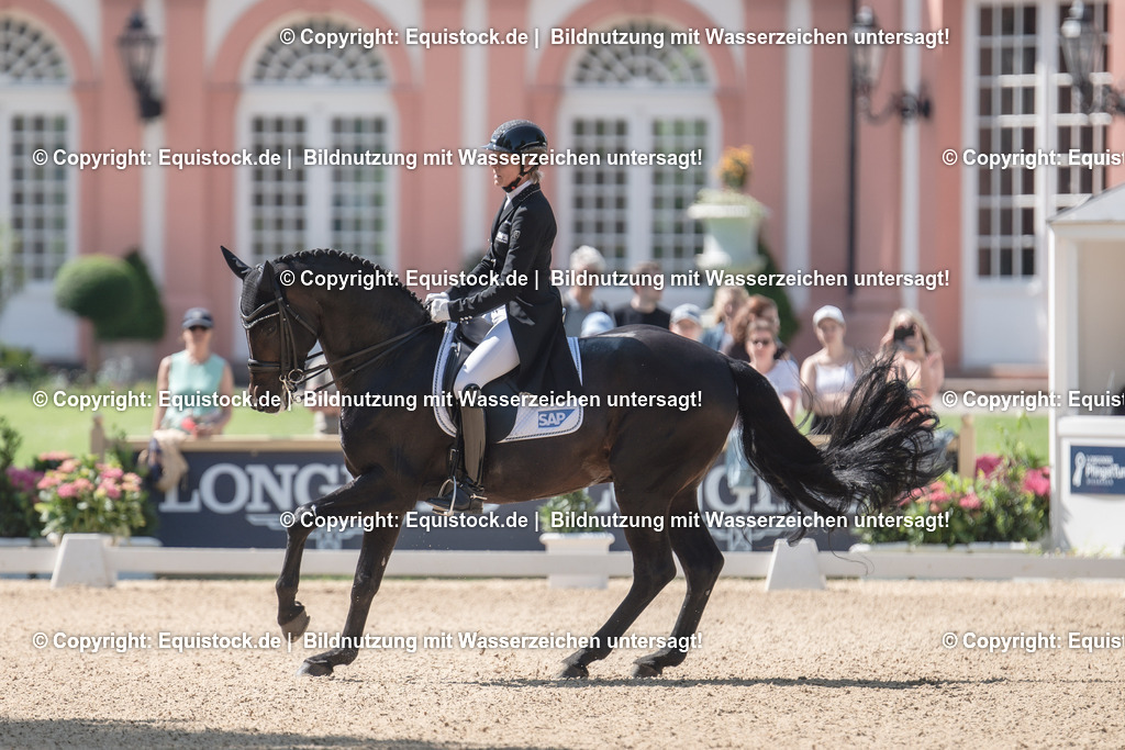 20230529_29_Louisdor_0034 | equistock