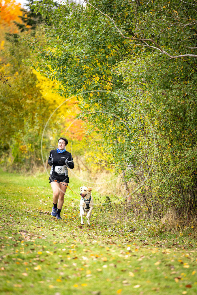 Pfotenfotografie_DV3A2250 | Hundefotografie, Tierfotograf, Pfotenfotografie, Fotoshooting Hund, Hunde Portrait, Hundesport, Hundeportraits, Heideshooting, Hunde, Sportfotograf, Hundefotograf, Turnierhundsport, THS,  - Realisiert mit Pictrs.com