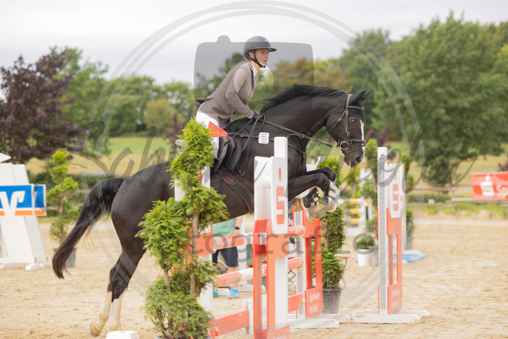 994A9052 | sabrinanicolaifotografie - Realisiert mit Pictrs.com