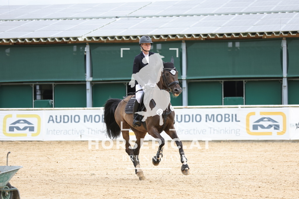 0P6A3321 | Willkommen bei Brunnmayr - Design & Fotografie – Ihrem Spezialisten für Reitturniere und Pferdeveranstaltungen in Oberösterreich, Salzburg und Bayern! Seit über 17 Jahren sind wir leidenschaftlich dabei.