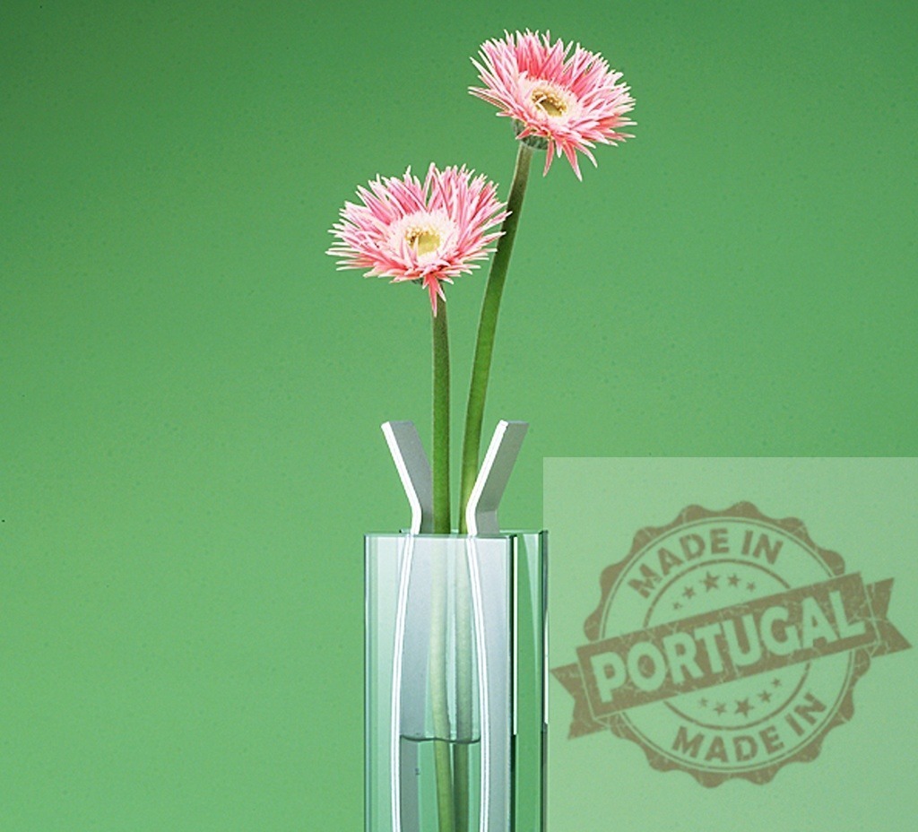 Pink gerbera daisies flowering in modern glass vase | Two fresh pink gerbera daisies creating a simple floral arrangement against a green background - Realisiert mit Pictrs.com