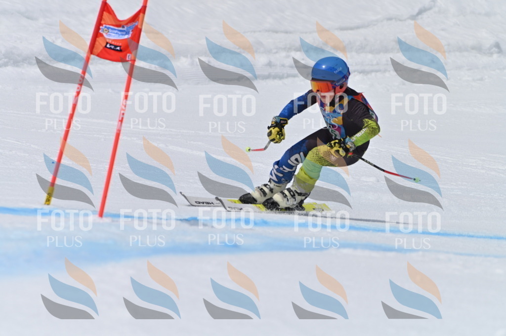 BGV_5469 | holidayphoto