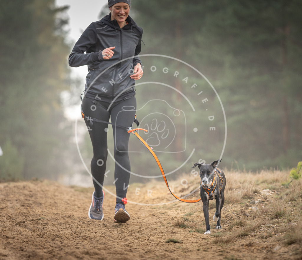 Pfotenfotografie_DV3A5773 | Hundefotografie, Tierfotograf, Pfotenfotografie, Fotoshooting Hund, Hunde Portrait, Hundesport, Hundeportraits, Heideshooting, Hunde, Sportfotograf, Hundefotograf, Turnierhundsport, THS,  - Realisiert mit Pictrs.com