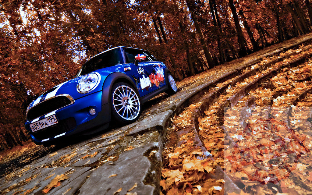 Blue Mini Cooper parked near colorful autumn leaves in a park | Stylish blue Mini Cooper is parked near colorful autumn leaves in a park, showcasing the beauty of autumn - Realized with Pictrs.com