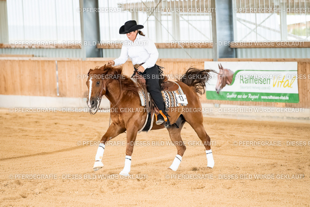 DSC02410 | Pferdegrafie