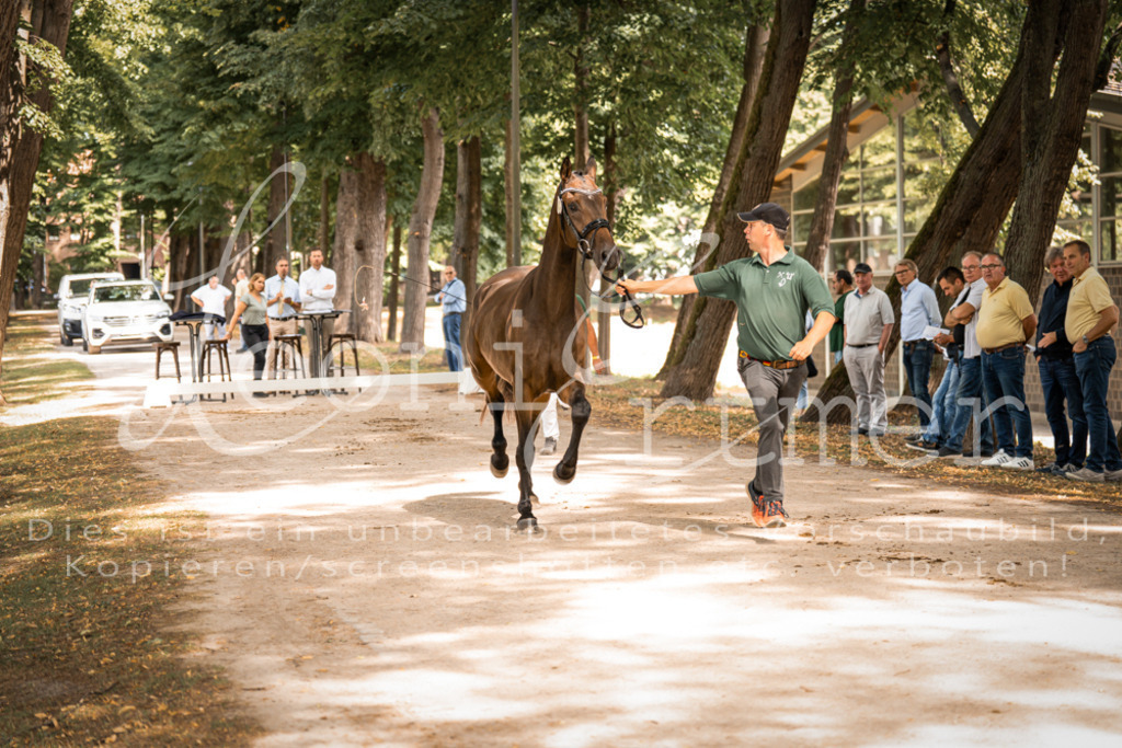 FrPfM00163 | Leoni Ertmer Photography - Realisiert mit Pictrs.com